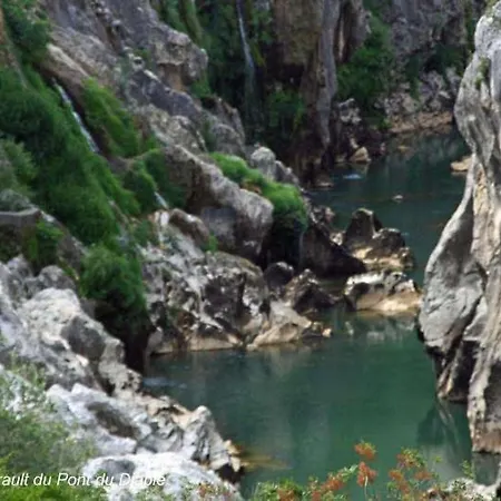 Mon Reve *